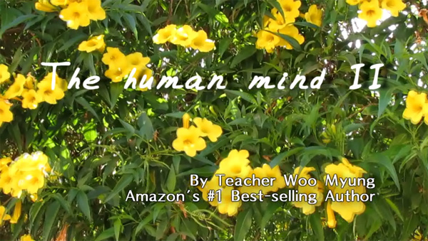 The Human Mind II