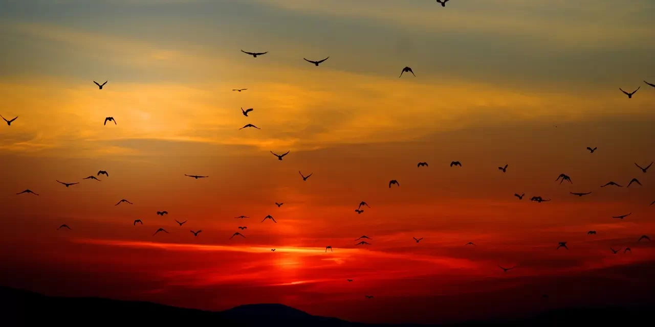 Master Woo Myung – Sighs