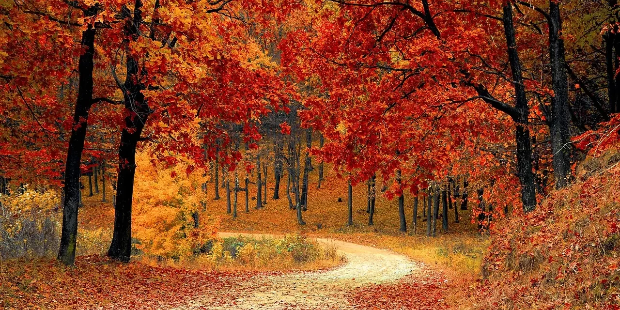 Master Woo Myung – How can one reach nirvana or spiritual death?